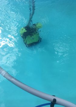 nettoyage-boutiqueIMG_9779