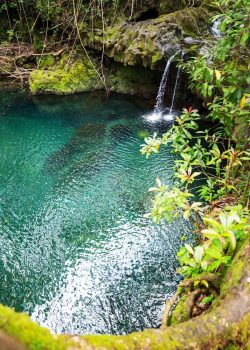 Beautiful waterfall in tropical rainforest in Hawaii island, USA
